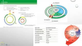 De celcyclus [upl. by Kessiah]