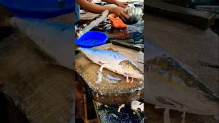 Greater amberjack fishcutting shorts video [upl. by Ilaw]