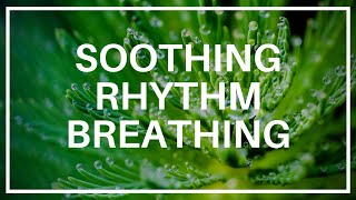 Soothing Rhythm Breathing  Compassion Focused Therapy Exercise LewisPsychology [upl. by Lemej755]