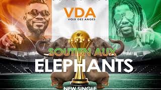 VDA SOUTIEN AUX ÉLÉPHANTS [upl. by Vassar64]