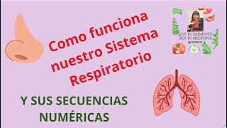 25 🫁 COMO FUNCIONA NUESTRO SISTEMA RESPIRATORIO Y SUS SECUENCIAS NUMÉRICAS [upl. by Neelak]