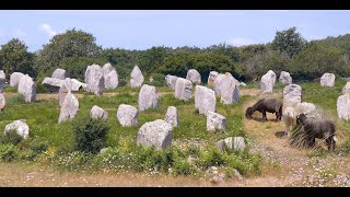 CARNAC [upl. by Scheer700]