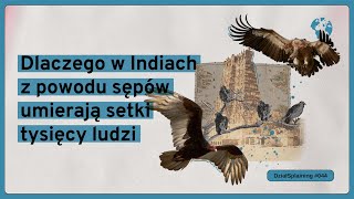 Dlaczego w Indiach z powodu sępów umierają setki tysięcy ludzi DziałSplaining044 [upl. by Orsa]