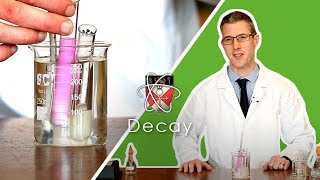 Decay  GCSE Biology Required Practical [upl. by Wylde]