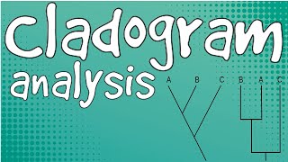 Cladogram AnalysisCSIR UGC NET group C [upl. by Aihsenat]