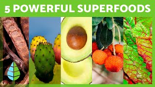 Top 5 SUPERFOODS to Boost Your Diet 🥑✅ [upl. by Aluap123]