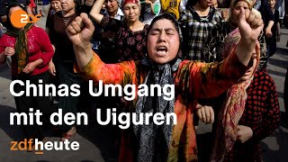 Menschenrechtsverletzungen in Xinjiang Uigurinnen erzählen ihre Geschichte  auslandsjournal [upl. by Mcclain885]