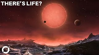 Newly discovered Trappist1 system has 3 Goldilocks planets [upl. by Lonyer801]