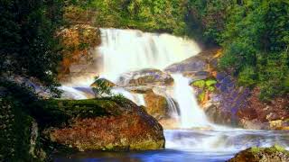 Harridge Falls at Weldborough  Tasmania [upl. by Wakeen]