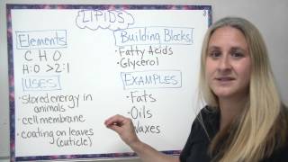 Organic compounds  4 main types described [upl. by Leissam680]