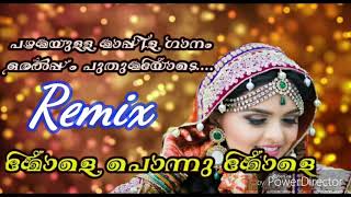 Mappila mylanchi song Remix new Mole Ponnu [upl. by Inajar846]