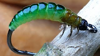 HydropsycheFly Tying Caddis Larva [upl. by Adnarahs]