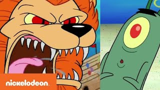 Plankton is Chased by Sea Lion quotSpongicusquot  Spongebob  Nicktoons [upl. by Kessia]