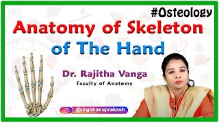 Anatomy of Skeleton of the hand Osteology  Carpals Metacarpals and Phalanges [upl. by Estel]