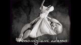 Assomigliami adesso Biagio Antonacci lyrics [upl. by Eichman]