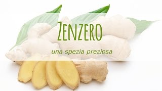 Zenzero una spezia preziosa Come utilizzarla [upl. by Iruy]