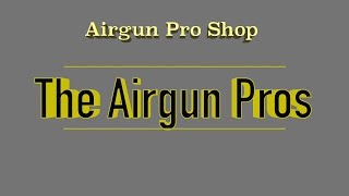 The Airgun Pros At Airgun Pro Shop [upl. by Ardnuasal520]