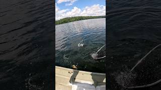 Smallmouth Nearly Jumps in Boat smallmouthbass smallmouthbassfishing perchfishing fishing fish [upl. by Noemis]