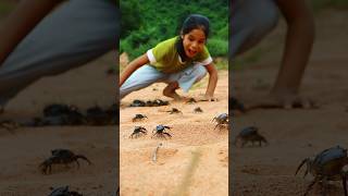 The girl found a lot of crabs 🦀🦀 camping survival outdoors lifehack [upl. by Bethanne277]