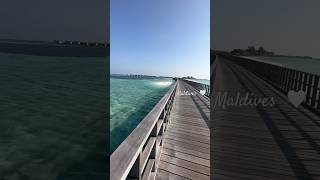 Maldives honeymoon luxury travel couple firstclass [upl. by Burleigh947]