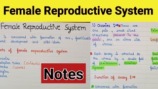 Female reproductive system  Female reproductive system class12  Human reproduction [upl. by Notsur]