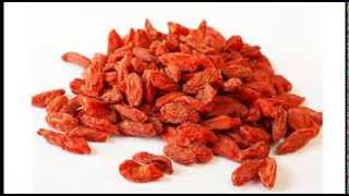 Explore Lycium  Goji Berry with Jing Herbs [upl. by Ayirp]