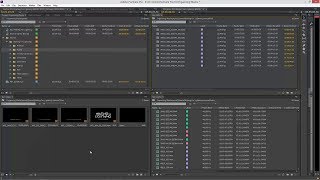 Easy And Powerful Media Organizing and Sorting in Premiere Pro [upl. by Greenberg477]