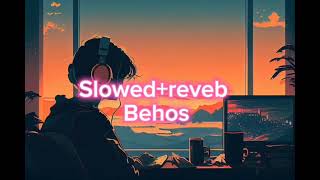 Behos by Sushant kc Slowedreverb [upl. by Nnad]