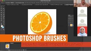 Photoshop for Beginners Photoshop Brushes [upl. by Alyose]