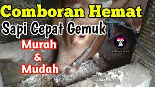 Resep comboran sapi murah mudah dan bikin cepat gemuk kenyang [upl. by Winola36]