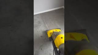 carpet vacuuming before professional steam cleaning [upl. by Gaston]