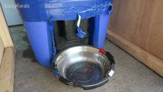 Another Raccoon Proof Feral Cat Feeder Update And Improvements  PetSafe Automatic Feeder [upl. by Ditter313]