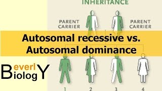 Autosomal Recessive vs Autosomal Dominance [upl. by Naimerej]