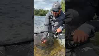 Flugfiske i Jämtland med VATN 5 från Söder Sportfiske fishing happiness sweden [upl. by Atsirtal]