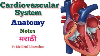 CARDIOVASCULAR SYSTEM  ANATOMY AND PHYSIOLOGY  GNM 1st YEAR  GNM NURSING CLASSES IN MARATHI [upl. by Saber]