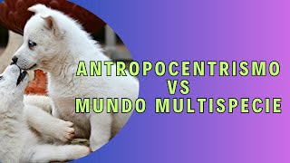 Antropocentrismo VS Mundo multiespecie [upl. by Lean]