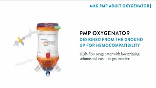 AMG PMP Adult Oxygenator Acute Circulatory Support Animation [upl. by Hirasuna]