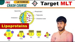 48 Lipoproteins HDL LDL VLDL chylomicron biochemistry AIIMS PGIMER DSSSB RML 2024 [upl. by Eerat]