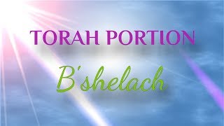 Weekly Torah Portion Bshelach [upl. by Cornelie566]