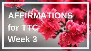 Fertility Affirmations for Getting Pregnant Week 3 [upl. by Temhem]