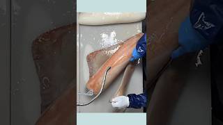 The process amp decomposition of the giant squid how to cut seafish professionally shorts [upl. by Stoughton]