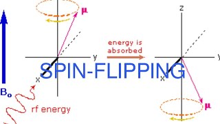 Spin flipping Larmor precession gyromagnetic ratio Boltzman distribution in NMR MajidAli2020 [upl. by Inez976]