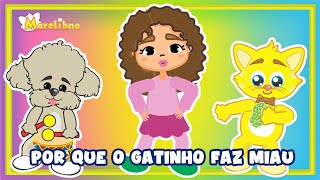 Por que o gato faz miau  desenho [upl. by Aillil]