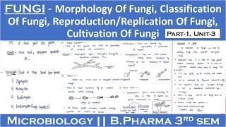 Fungi  Morphology of fungi  Classification of fungi  Reproduction of fungi  Cultivation of fungi [upl. by Acirfa540]