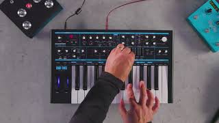 Novation  Bass Station II 25  Paraphonic Mode [upl. by Olsen]