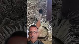 Hand made fan palm leaf  Palm ke patton se shandaar pankha banana shortvideo shortsvideo short [upl. by Acinot]