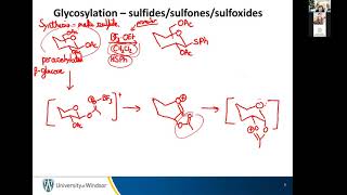 2021 09 29 Glycosyl sulfides and protecting groups Part 1 [upl. by Yclehc]