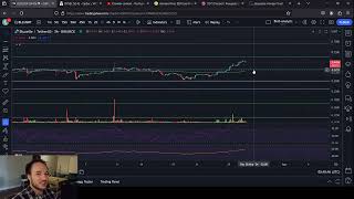 BLUZELLE vs STORJ [upl. by Fishback]