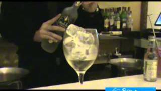 Cómo preparar un gin tonic perfecto para gourmets [upl. by Rennerb]