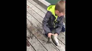 Fishing at Arbour Lake Calgary AB [upl. by Sparks]